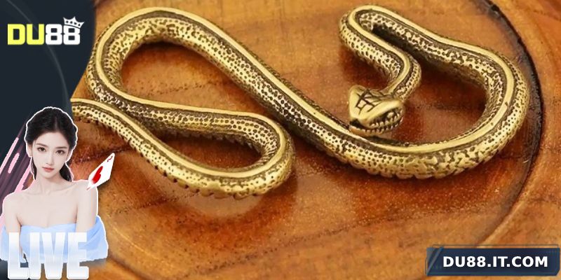 Chiêm bao thấy rắn giúp mang lại tài lộc cho anh em?