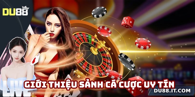 Giới thiệu sảnh cá cược uy tín hàng đầu