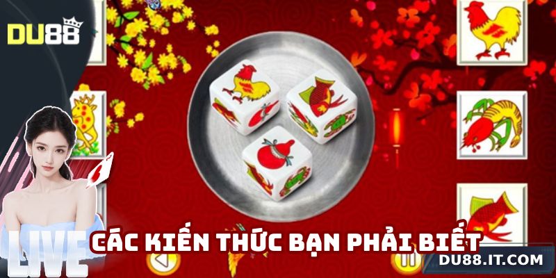 Những kiến thức quan trọng về game bạn phải biết