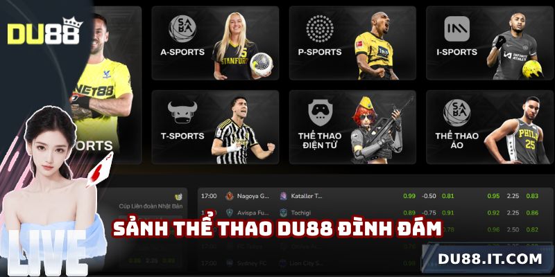 Sảnh thể thao Du88 đình đám